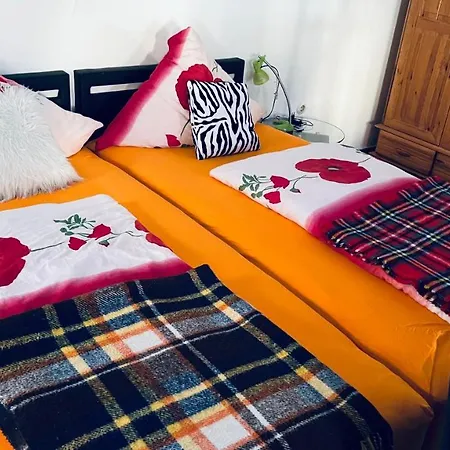 Ferienwohnung - Entdecken Sie Liebliche Region Der Weinstrasse Apartment Grunstadt